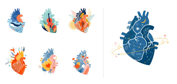 Collection of anatomical heart modern print design, art work Collection of anatomical heart modern print design, art work. Vector illustration loving life stock illustrations