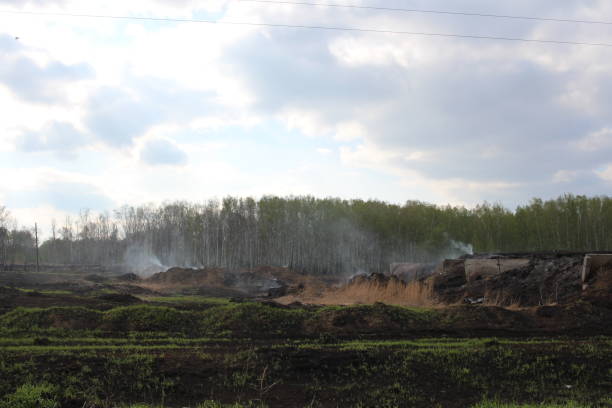 istock a burning dump on the ground is Smoking fire in the forest 1264453917