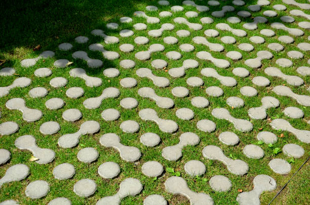 grass pavers block tiles made of concrete in the shape of connected circles amoeba gray shape repeating in a grid serving the crossing of people across the lawn grass, pavers, grassing, tile, tiles, concrete, amoeba, gray, green, lawn, connected, circle, circles, made, block, shape, repeating, grid, pattern, serving, crossing, people, public, park, urban, permeable, airy, air, breath, traffic, path, pathway, sidewalk, ecology, across, garden, gardening, solution, drain, rain, water, point, points, round, design, white, field amoeba photos stock pictures, royalty-free photos & images