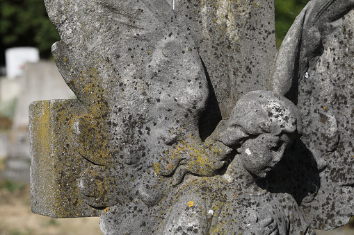 A dark, winged stone angel's solemn regard in a cemetery (Mitcham, Surrey, UK). Orange lichen growth is testament to the age of this old commemorative statue.
