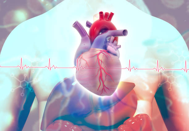 istock Human heart on body 1264458885
