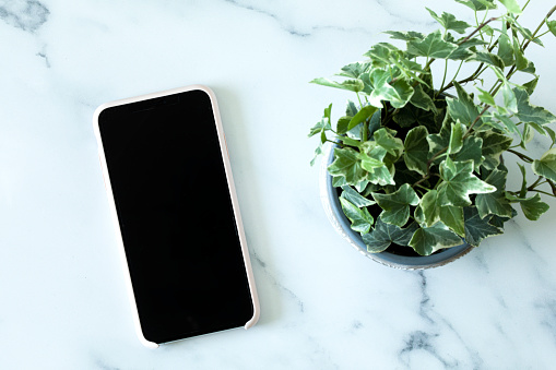 Mobile phone with a pale pink phone cover, and ivy plant in a pot on a marble table, marble surface, marble desk.