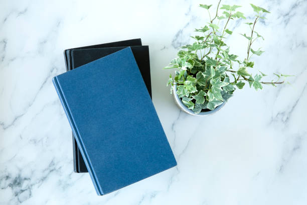 istock 1 blue and 2 black books on marble table, surface, desk with a plant in a pot 1264464139