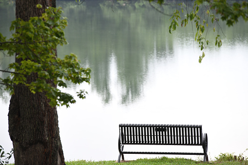 Park bench by the lake