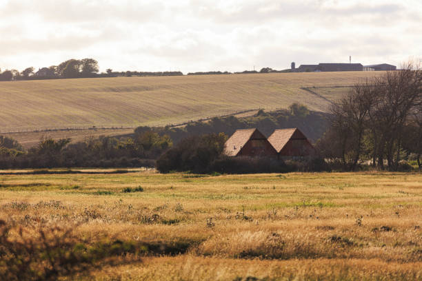 istock Barn at Sunset in the Countryside 1264469284
