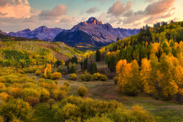 Fall season along the valley below Mt Sneffels in the San Juan Mountain Range Fall season along the valley below Mt Sneffels in the San Juan Mountain Range outside of Telluride Colorado aspen tree stock pictures, royalty-free photos & images