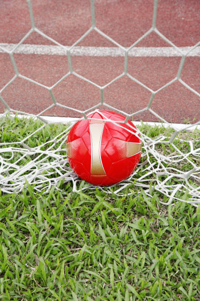 Soccer ball in goal
