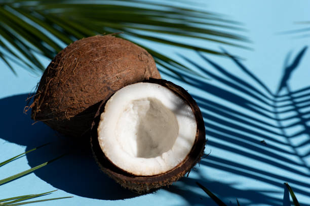istock Halved coconut with strong shadow from the leaves on blue background 1264474157