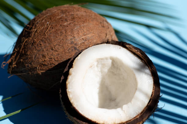 istock Halved coconut with strong shadow from the leaves on blue background 1264474701