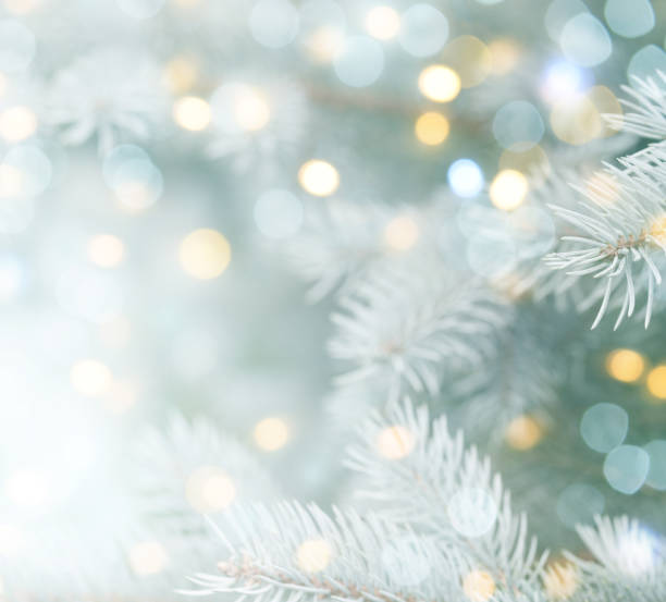 istock christmas trees and christmas decorations 1264475332