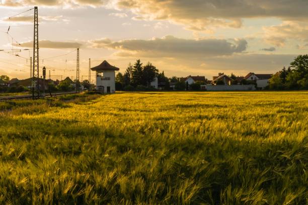Rural Landscape of Hirschaid in Germany