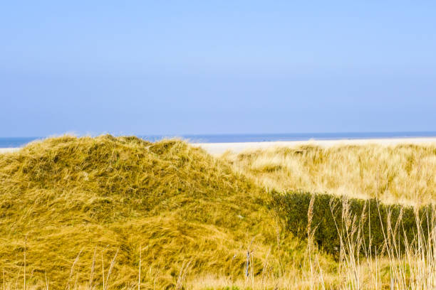 Top of dune against blue sky