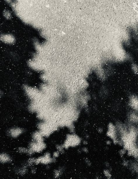 istock Black and white background of shadow and light effects 1264481657