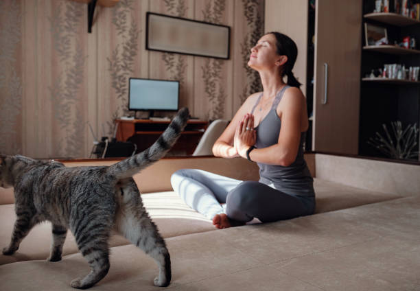 istock Young attractive smiling woman practicing yoga, sitting in Half Lotus exercise 1264482396