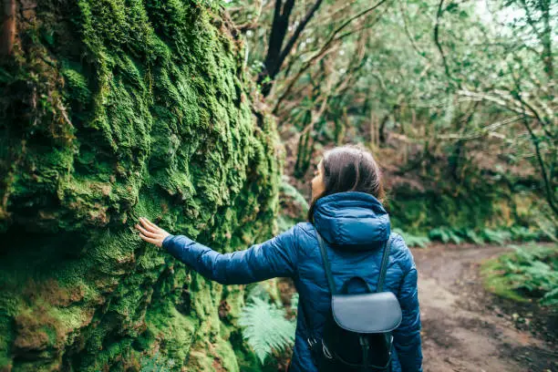 Photo of Back view of traveler woman walking in forest