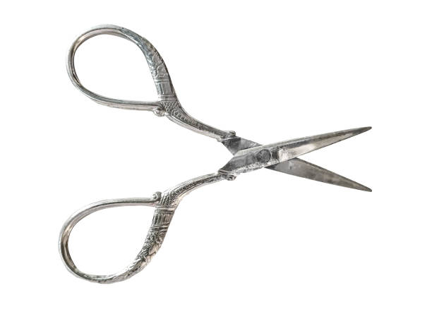 istock Ornate Old Style Scissor Isolated Photo 1264486608