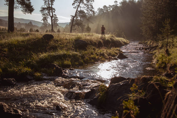 istock Morning jogging in a nature 1264486777