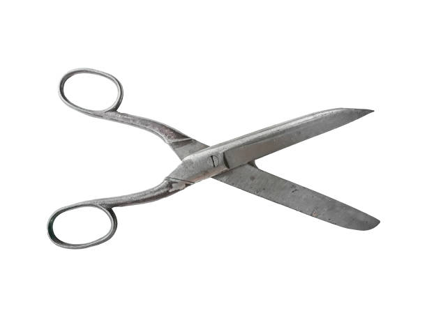 istock Side View Scissor Isolated Photo 1264486867