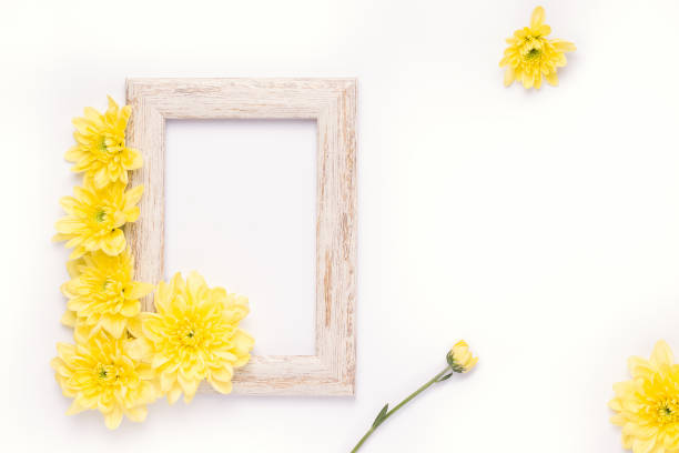istock Wooden photo frame with aster flowers on a white background. Copy space 1264489563