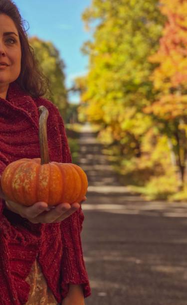 istock Harvest pumpkin Road Walk 1264489707