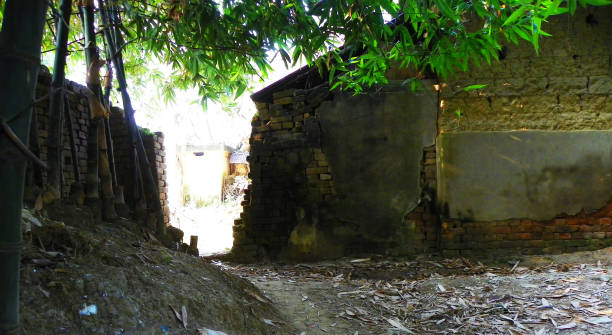 istock ruined brick hut with bunch of bamboo trees 1264491378