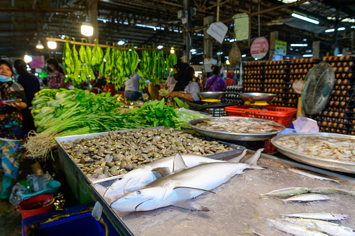 Hat Yai, Thailand - August 6, 2020 : Two small baby shark fish for sale in fresh market at Hat Yai