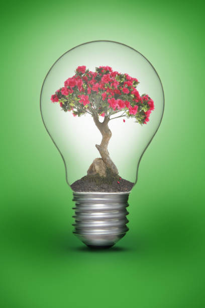 istock Flowering bonsai plant in a light bulb 1264492230