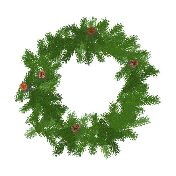 istock Christmas wreath with fir branches and cones. Set of green Christmas tree branches. Vector illustration 1264494277