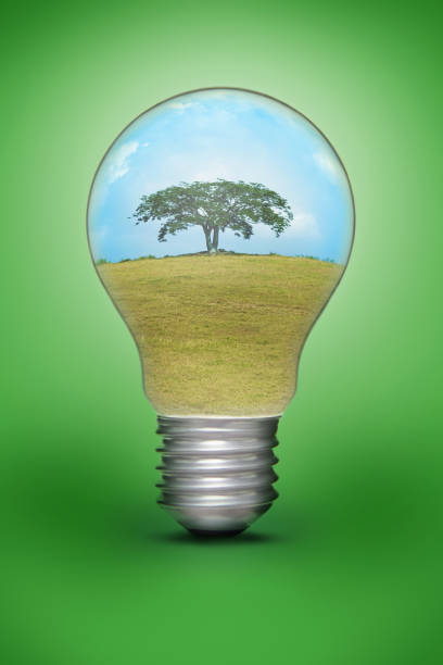 istock Scene of a field in light bulb 1264494979
