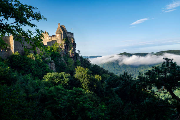 Castle \