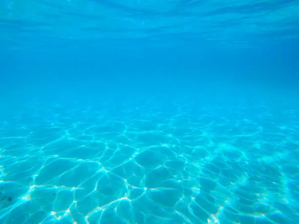 Horizontal underwater image. Cape Range National Park. July 2020.