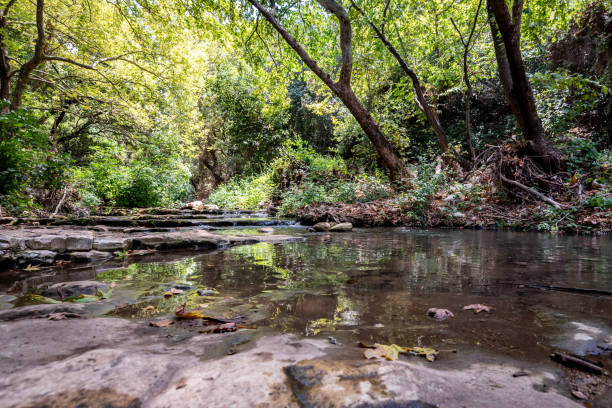 istock Nahal Kziv, Ramat Hagolan 1264501311