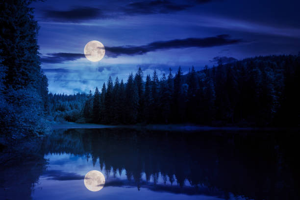 istock scenery around the lake in mountains at night 1264503583