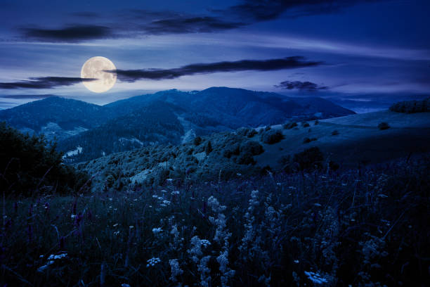 summer landscape in mountains at night - hayfield imagens e fotografias de stock