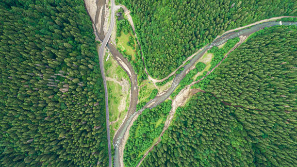 istock Forest and river from a bird's eye view. Photo from the drone. 1264505137
