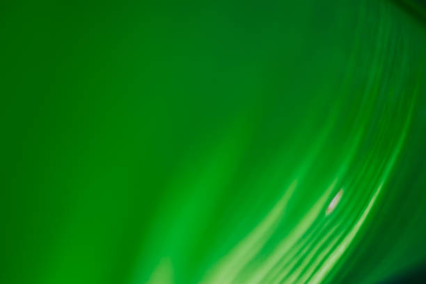 istock Abstract floral blurred background. Tropical palm leave backdrop 1264506953
