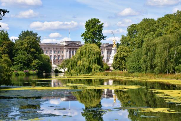 buckingham palace e st james's park, londra - london england park whitehall street palace foto e immagini stock