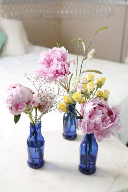 istock Peonies flower arrangement 1264509013