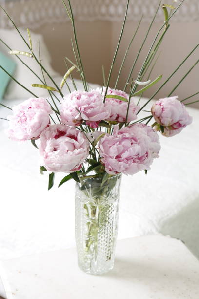 istock Peonies flower arrangement 1264509048