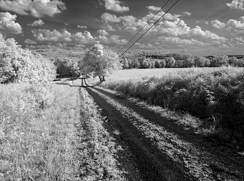 A quaint dirt road imaged in infrared.