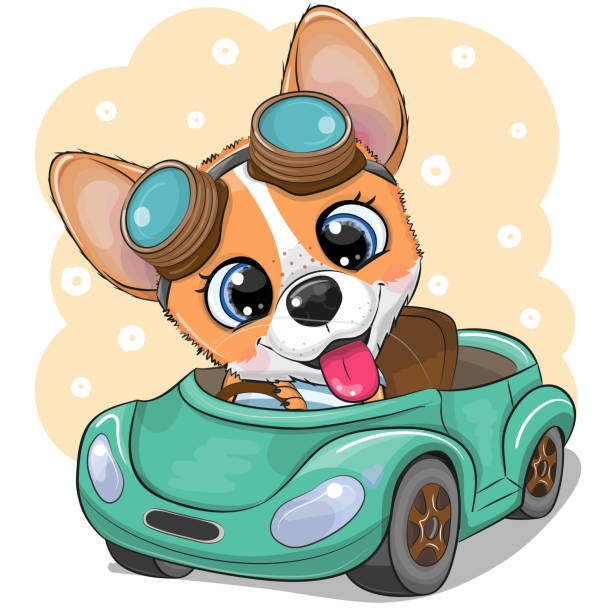 istock Cartoon Corgi in glasses goes on a green car 1264511869