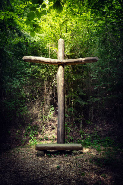 wooden cross in a dark forest with sunshine from above.