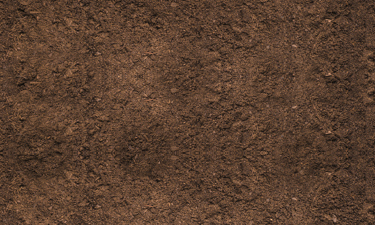 Soil texture background for gardening concept Photo