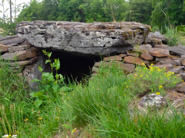 istock Dolmen from the wolf table, Cantal, France 1264514215