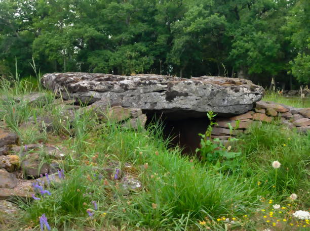 istock Dolmen from the wolf table, Cantal, France 1264514224