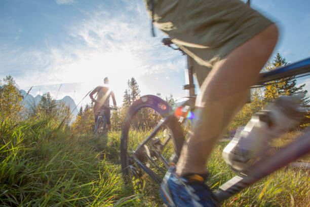 istock Mountain biker rides along grassy path, in autumn 1264515785
