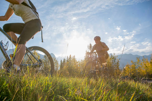 istock Mountain biker rides along grassy path, in autumn 1264515815