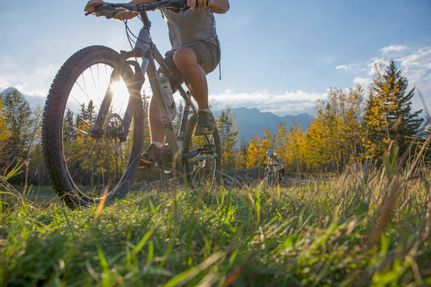 istock Mountain biker rides along grassy path, in autumn 1264516496