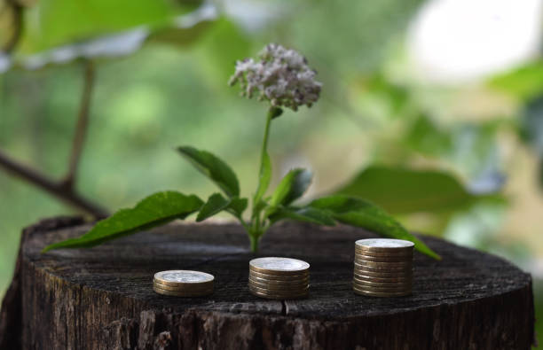 istock Growing investment concept 1264517423