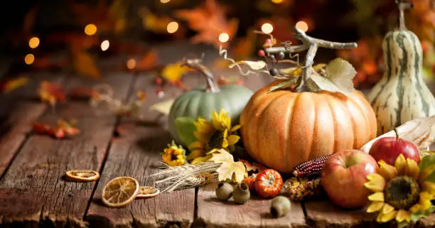 Photo of Autumn Pumpkin Background